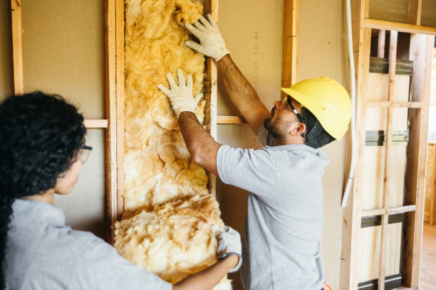 Best Cellulose Insulation  in Hamilton College, NY